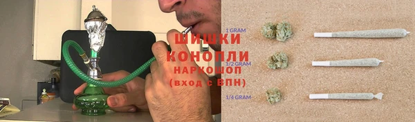 сатива Балабаново