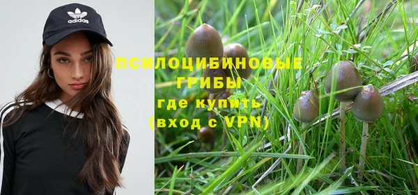 сатива Балабаново