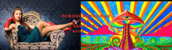 сатива Балабаново