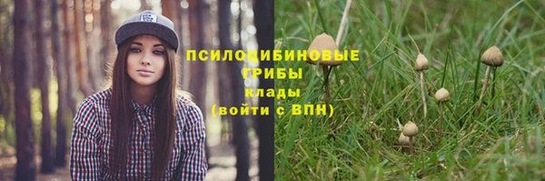 a pvp Балахна